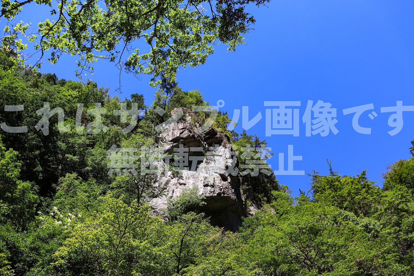 山_1