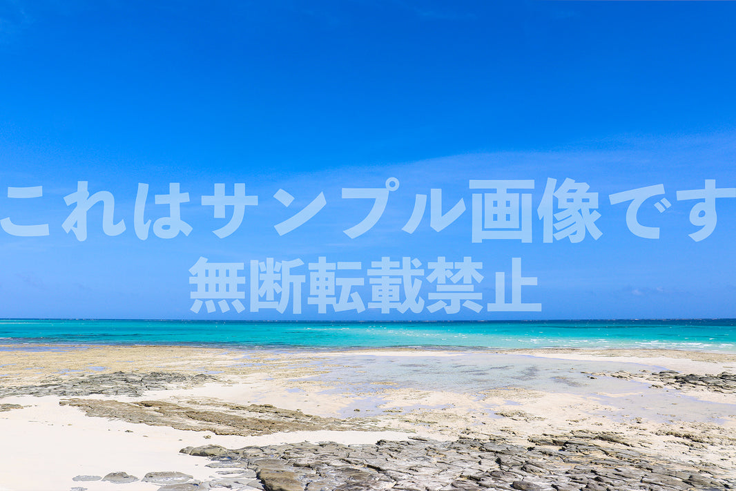 エメラルドグリーンの海_2