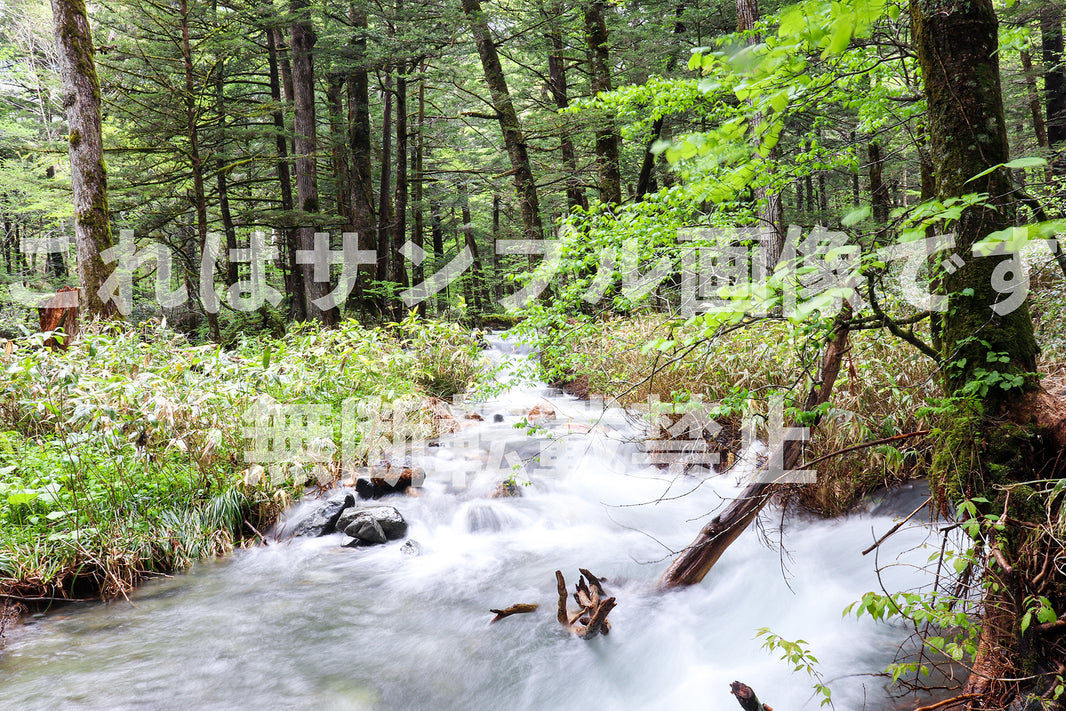 清流のせせらぎ_2