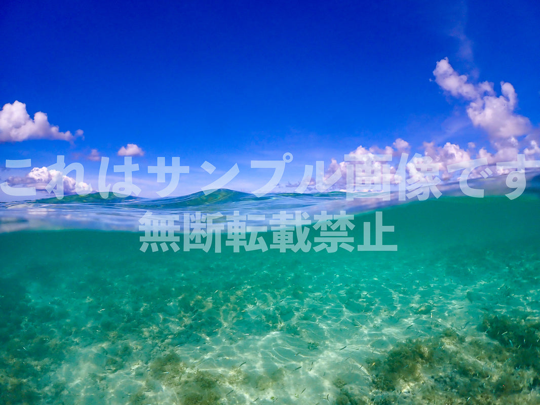 南国の海_3