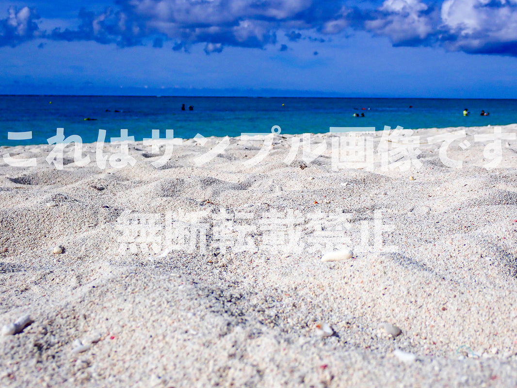 砂浜_1