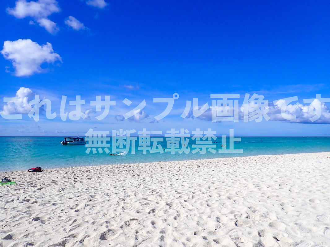 砂浜_2