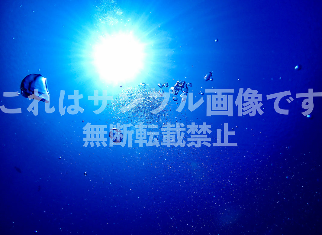 水中と太陽_1