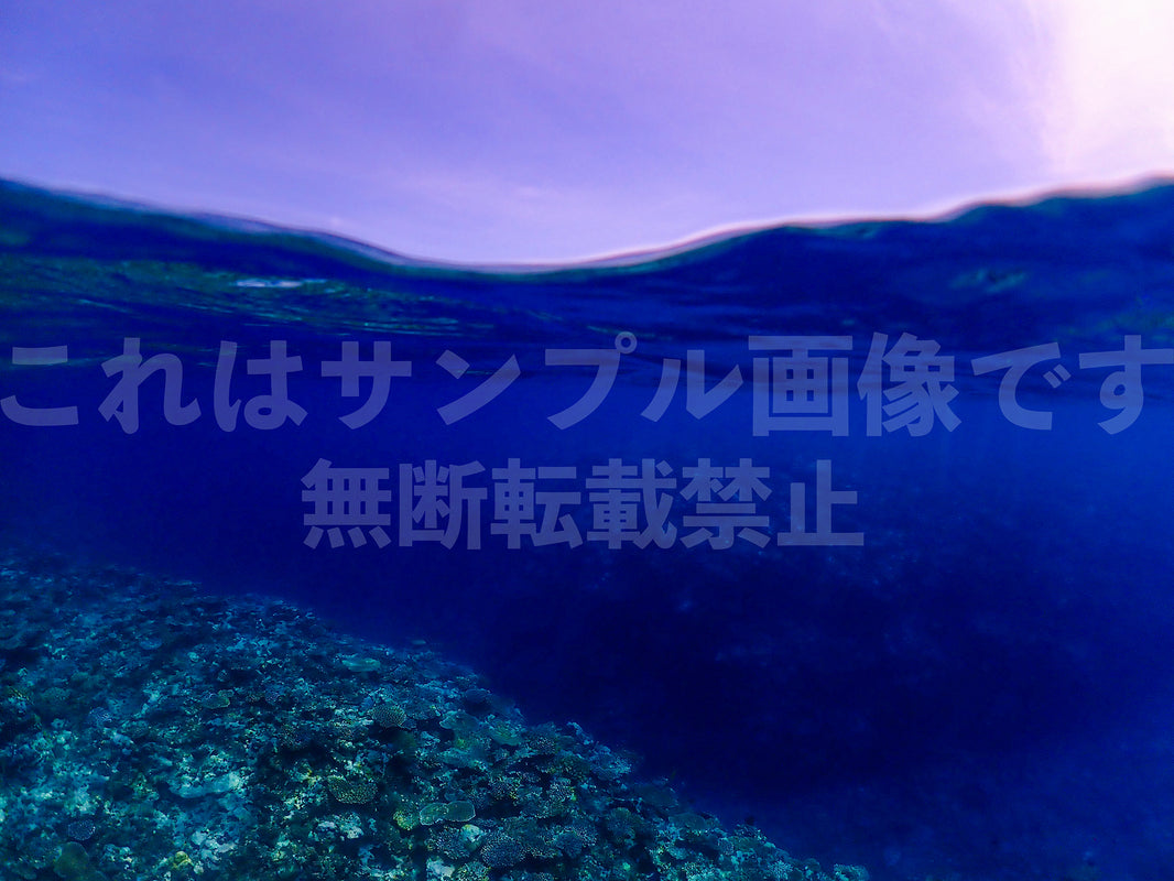 水面_6