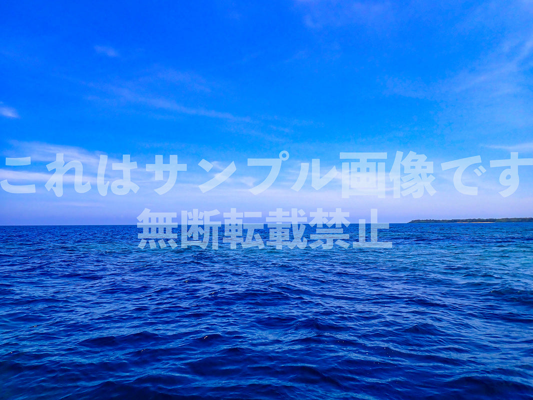 海と空_4