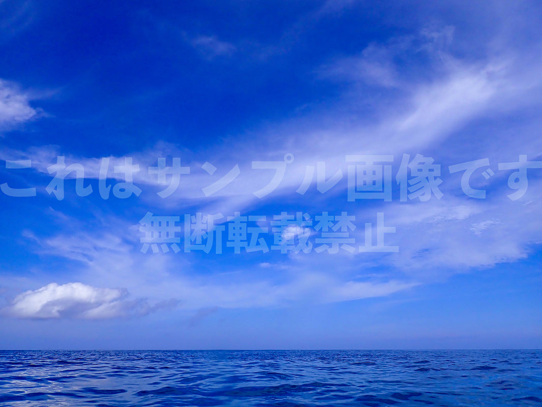 海と空_48