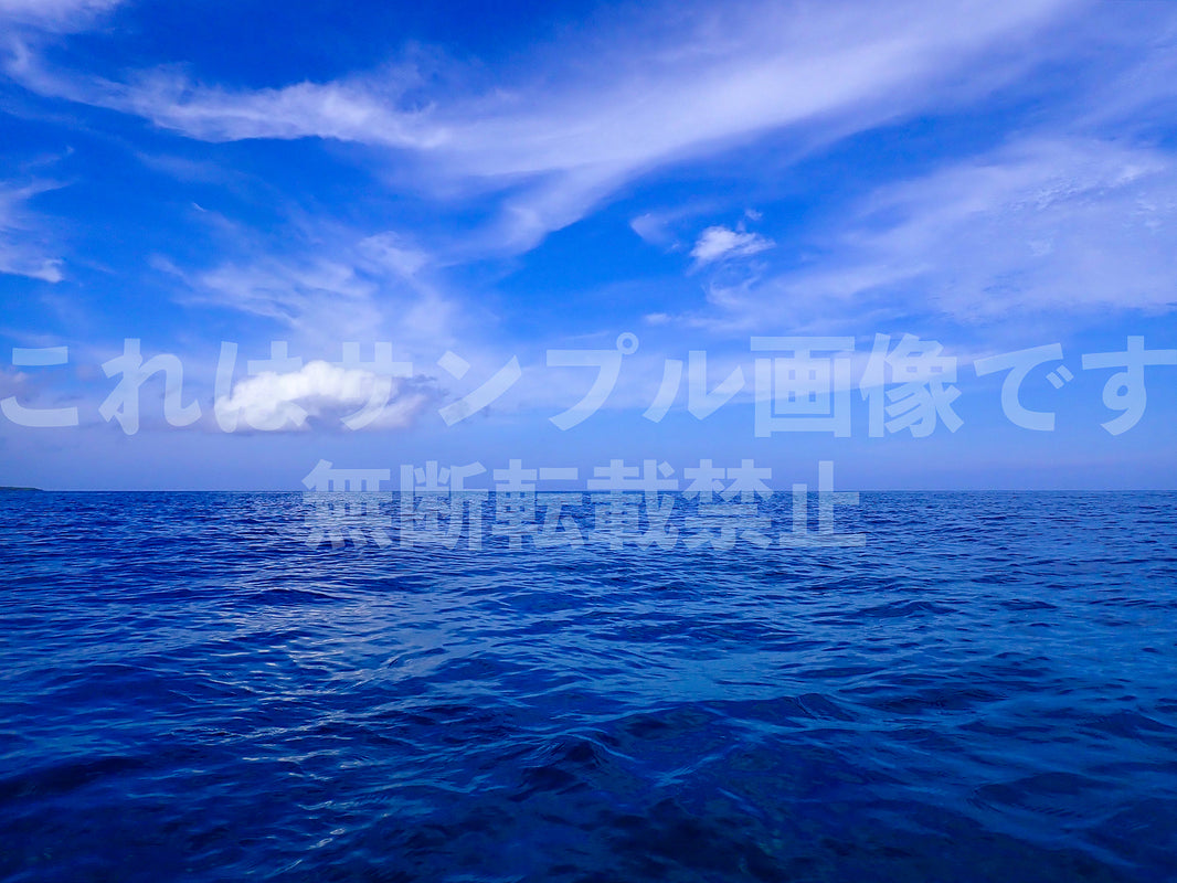 海と空_49