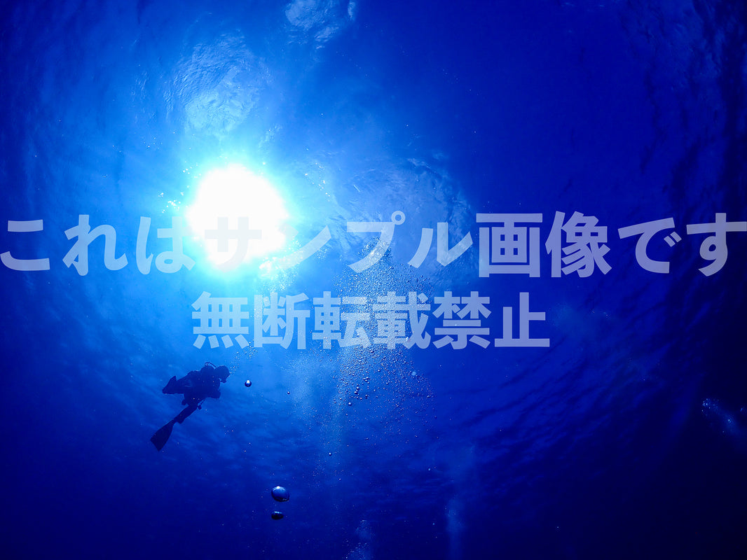水中ダイバー_1