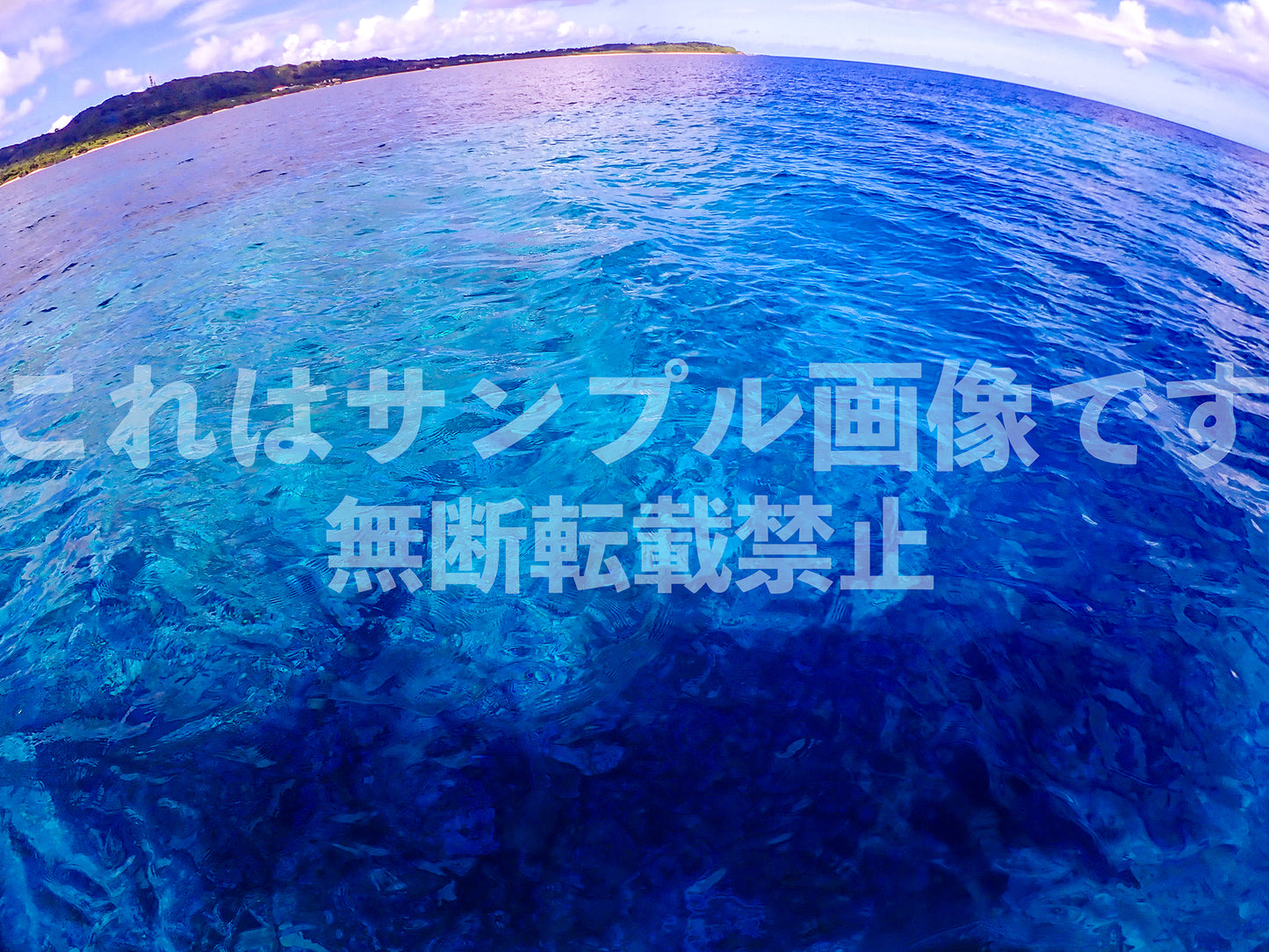 南国の海_28