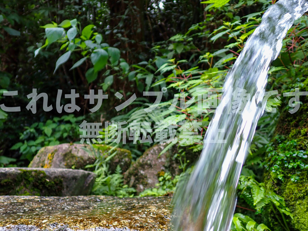湧き水_1